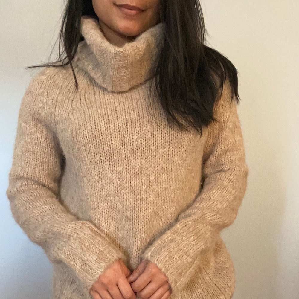 Aritzia - The Group by Babaton Turtleneck